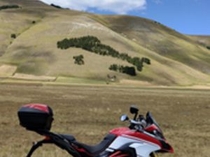 MULTISTRADA PP 2017 DVT