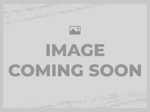 2023 YAMAHA FJR 1300ES