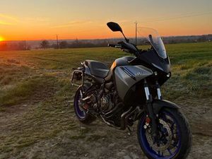 YAMAHA TRACER 7 A2 2024