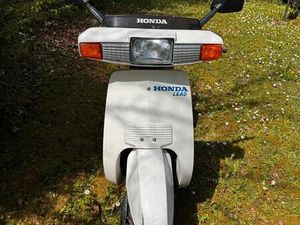 HONDA LEAD 50