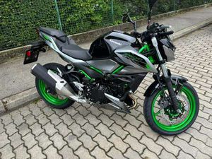 Z500 SE