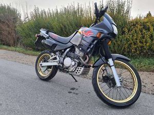 DOMINATOR 500 CCM
