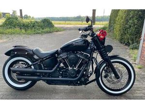 TOP CHECKHEFTGEPFLEGTE STREET BOB