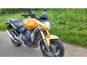 2008 08 HONDA CB 600 FA-7 HORNET CB600 NAKED CB600F GOLD NEW MOT