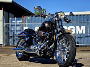 2008 SCREAMIN' EAGLE® SOFTAIL® SPRINGER®