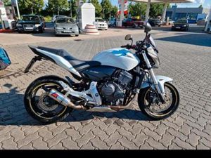 HONDA CB600 F PC41 HORNET