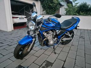 SUZUKI GSF600