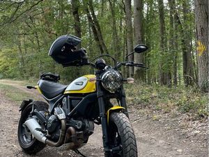 DUCATI SCRAMBLER ICON 803