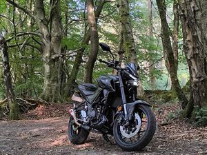YAMAHA MT-03 300 ABS HYPER-NAKED PETROL MANUAL EURO 5 (42 PS) 321 CC