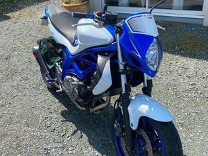 SUZUKI GLADIUS 650 REPLICA TROPHY
