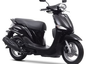 D'ELIGHT LTS 125 UBS