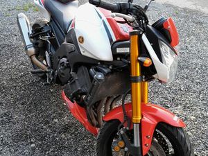 FZ8 50TH ANNIVERSAIRE