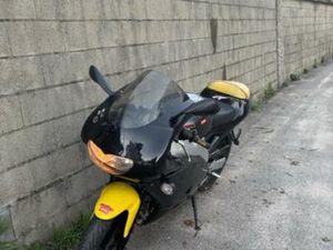 APRILIA - RS CULO AVISPA
