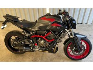 YAMAHA MT07 RM04 MOTO CAGE
