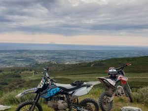 190 BIGY DAYTONA FACTORY