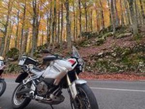 YAMAHA XT1200Z FIRST EDITION