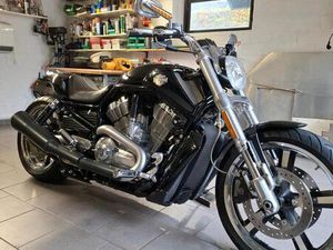 HARLEY DAVIDSON V-ROD MUSCLE