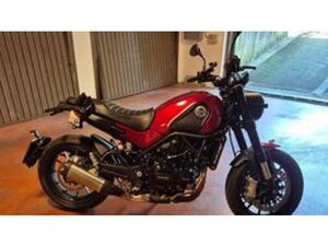 LEONCINO 500 (2021 - 25)