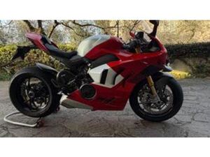 PANIGALE V4 R (2023 - 24)