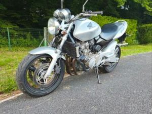 HONDA 600 CBF HORNET