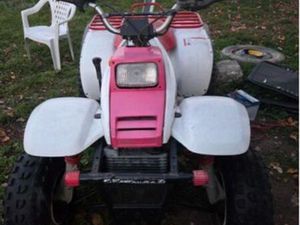 QUAD 325 POLARIS