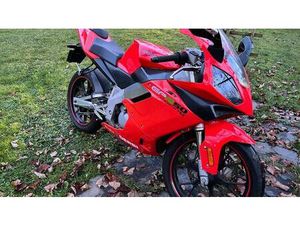 VENDO DERBI GPR 50 RACING (2004 - 08) USATA A TRIVERO (CODICE 9894761) - MOTO.IT
