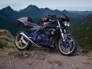 TRIUMPH SPEED TRIPLE 955I BLACK EDITION NAKED BIKE - TAUSCH AUTO