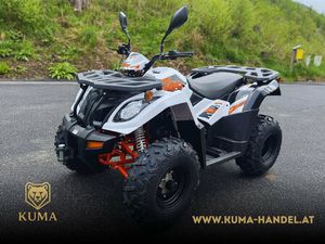 MOTO NEUVE: KAYO A 300