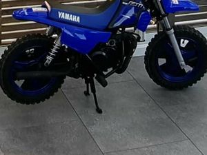 YAMAHA PW50