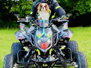 ACCESS TRITON SWAP ER6 MOCNO DOINWESTOESNY ZAREJESTROWANY SLUPSK