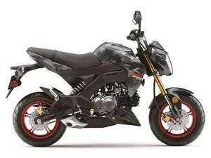 2024 KAWASAKI Z125 PRO
