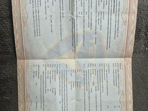 ALPHA MOTORS CITY LEADER ROLLER