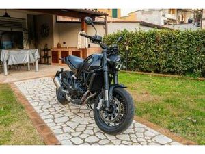 BENELLI LEONCINO 500 - 2024