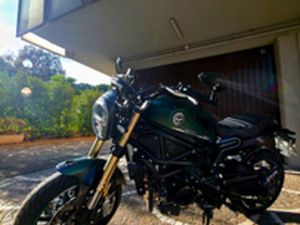 BENELLI LEONCINO 800