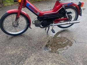 MAXI MIT ORIGINAL TYPENSCHEIN