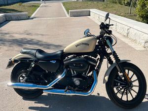 HARLEY DAVIDSON IRON 883