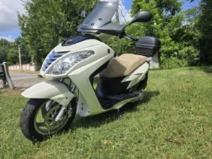 MALAGUTI BLOG BLOG 160