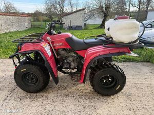 QUAD HOMOLOGUÉ YAMAHA 250 BEAR TRACKER