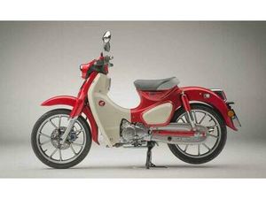 HONDA - SUPER CUB