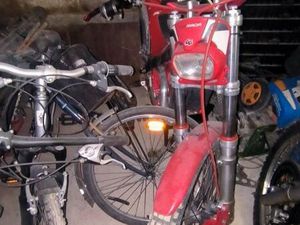 TRIAL GASGAS 280TXT PRO 2001