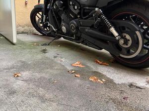 HARLEY DAVIDSON NIGHT ROD SPECIAL