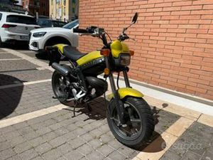 SUZUKI 50 STREET MAGIC