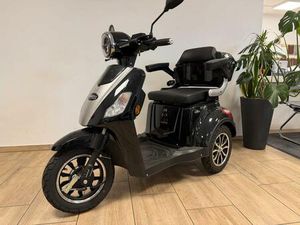 ROLEKTRO E-TRIKE 25 LITHIUM AKKU