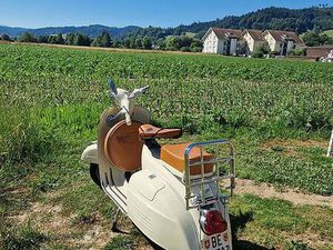 VESPA 125 GT VNL 1 CANTON BERNE -