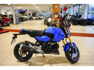 HONDA MSX125 GROM -SOFORT VERFÜGBAR-