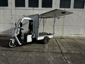 ARI 345 ELEKTRO TRIKE I LIFEPO4 AKKU I 100 KM I 300KG NUTZLAST