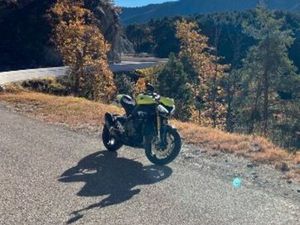 TRIUMPH SPEED TRIPLE 1200 RX