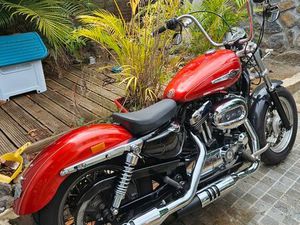 HARLEY 1200 SPORTSTER CUSTOM