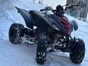 350 RAPTOR HOMOLOGUÉ