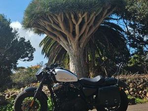 HARLEY DAVIDSON - 48 FORTY-EIGHT